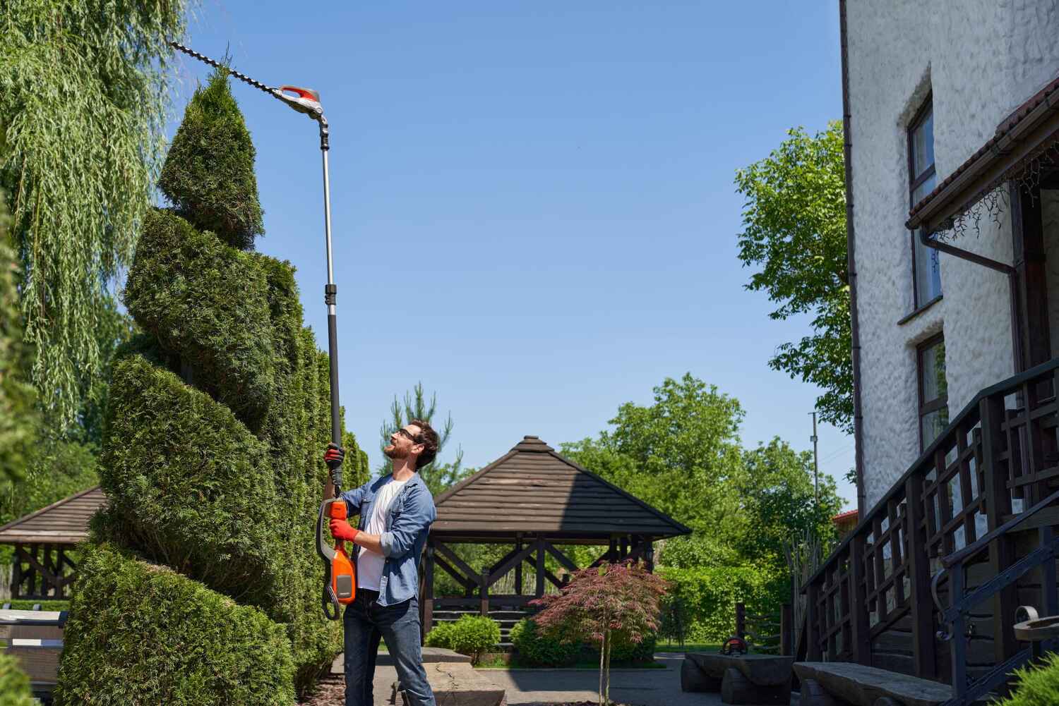 Best Arborist Services Near Me  in USA